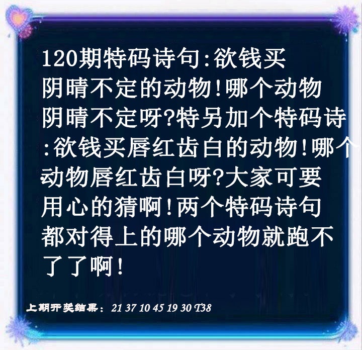 特码诗句